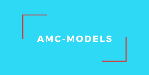 Amc Models